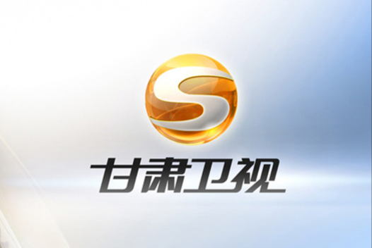 甘肃省电视台广告.png