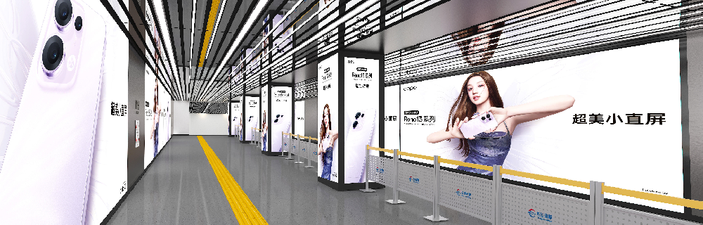 WPS图片(1).png