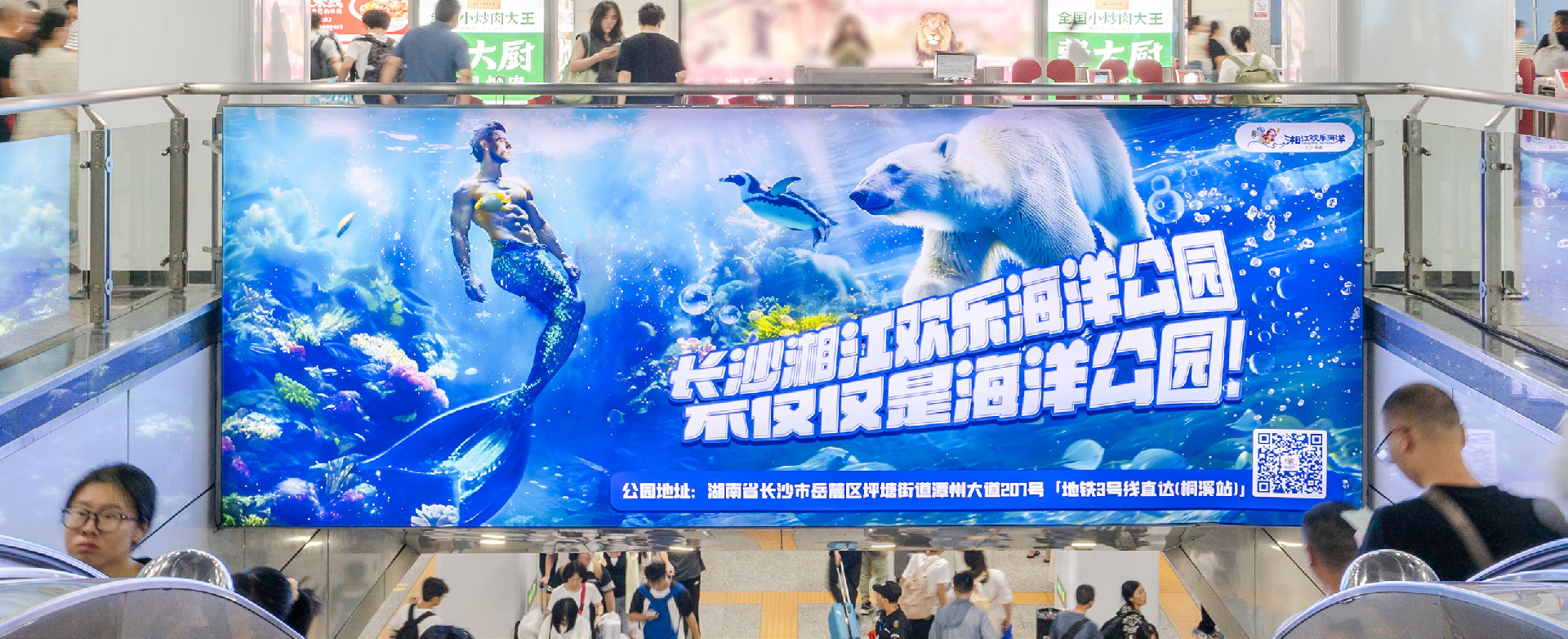 WPS图片(8).png